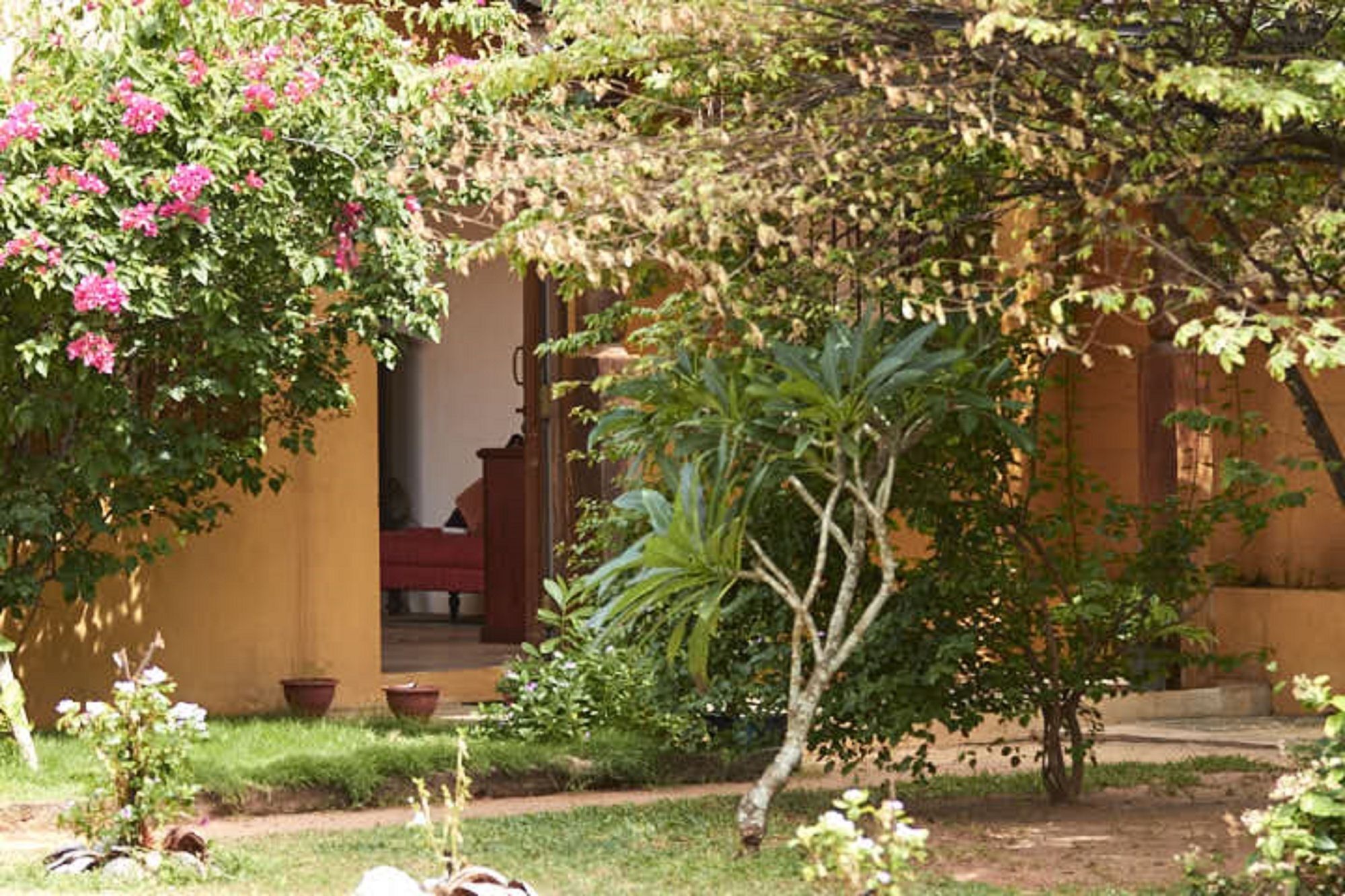 Villa Sunbird Negombo Kültér fotó